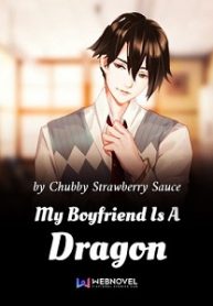 My Boyfriend Is A Dragon Novel