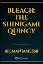 Bleach: The Shinigami Quincy