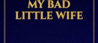 Cash Billionaire: My bad little wife