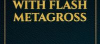 POKEMON : STARTING WITH FLASH METAGROSS